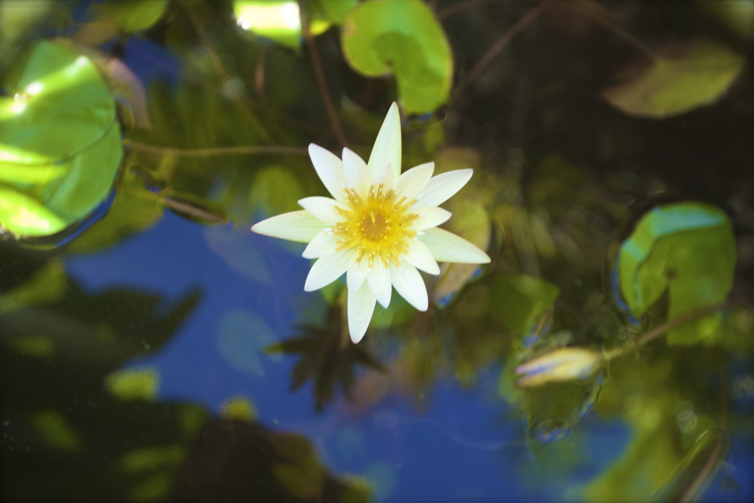 Haena Vacation Rental