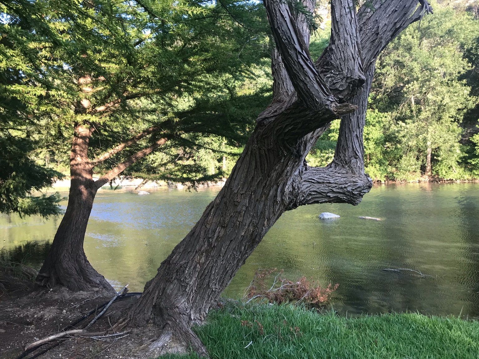 New Braunfels Vacation Rental