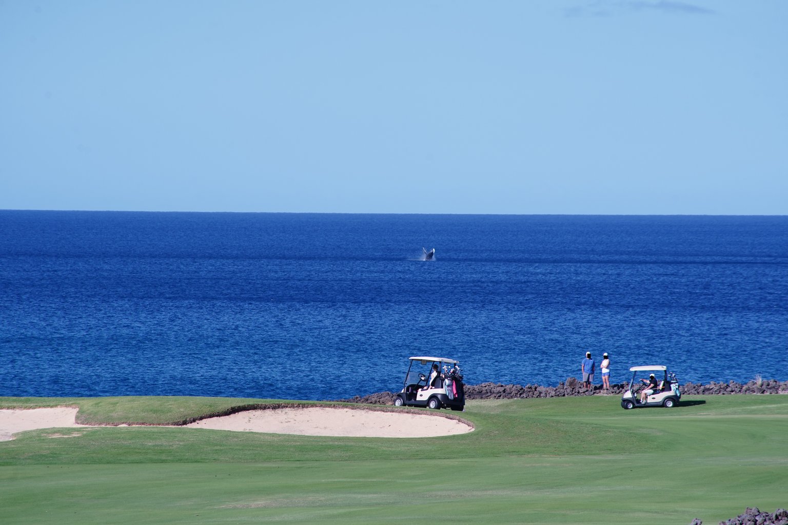Waikoloa Vacation Rental