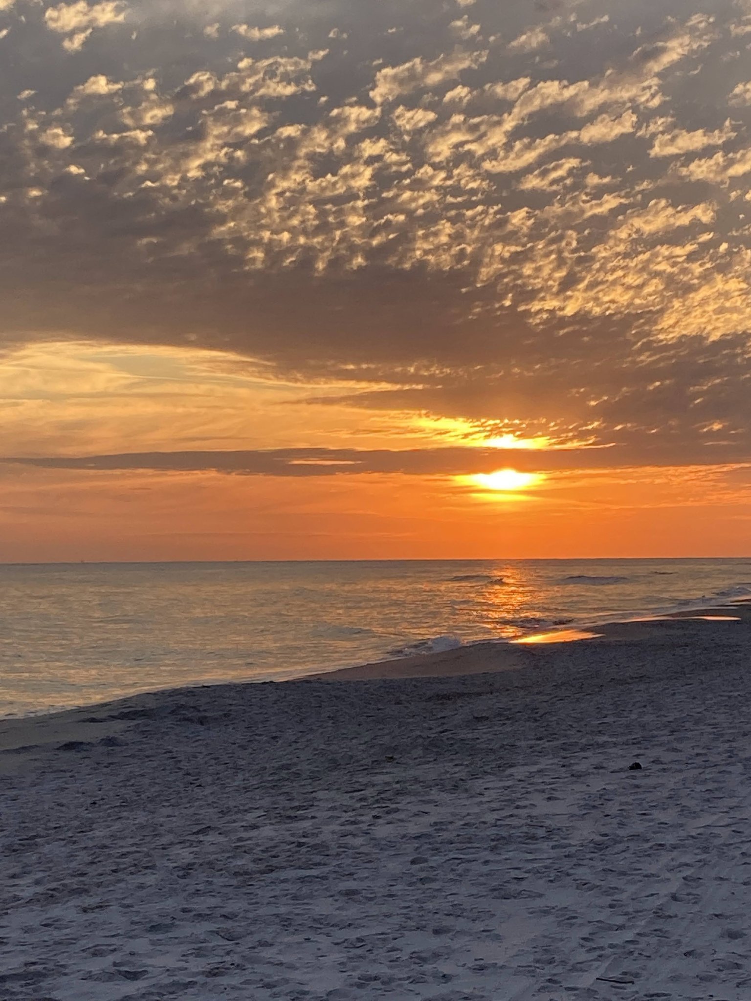 Gulf Shores Vacation Rental