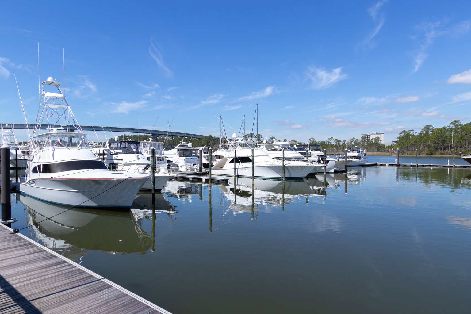 Orange Beach Vacation Rental