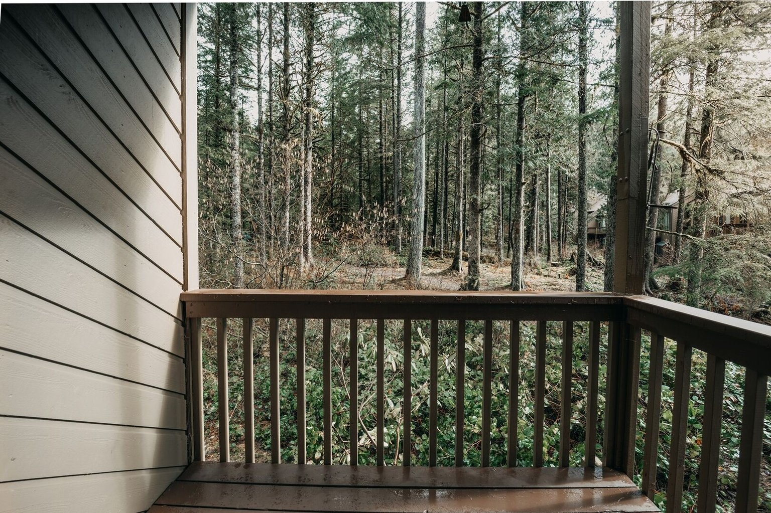 Glacier Vacation Rental