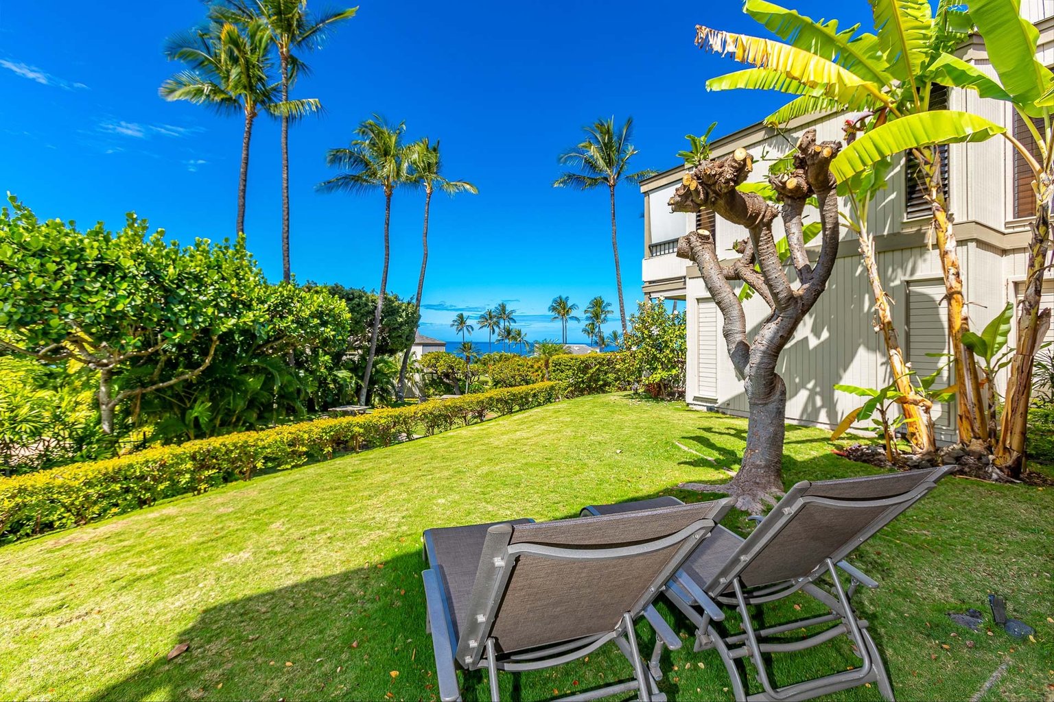 Wailea Vacation Rental