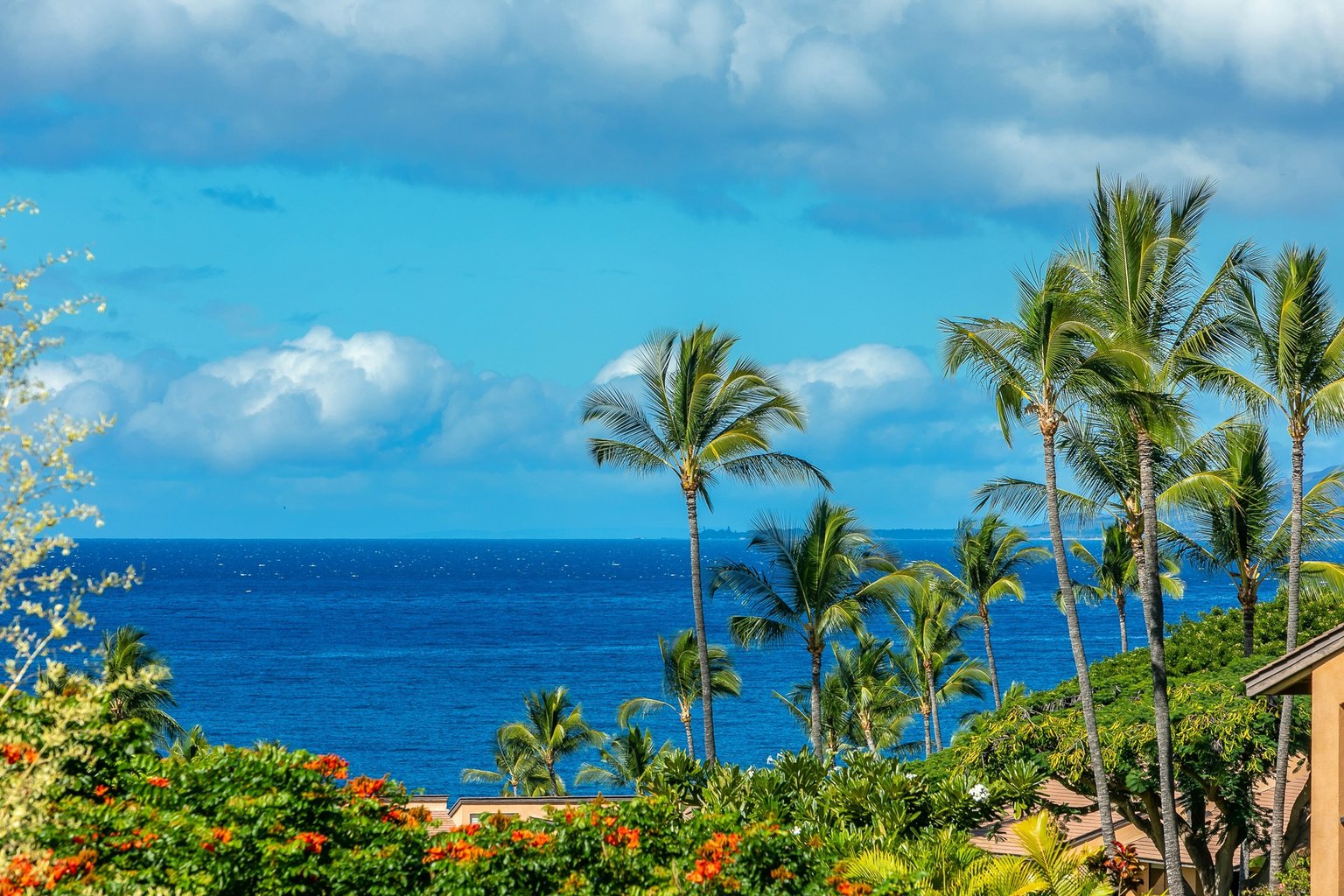 Wailea Vacation Rental