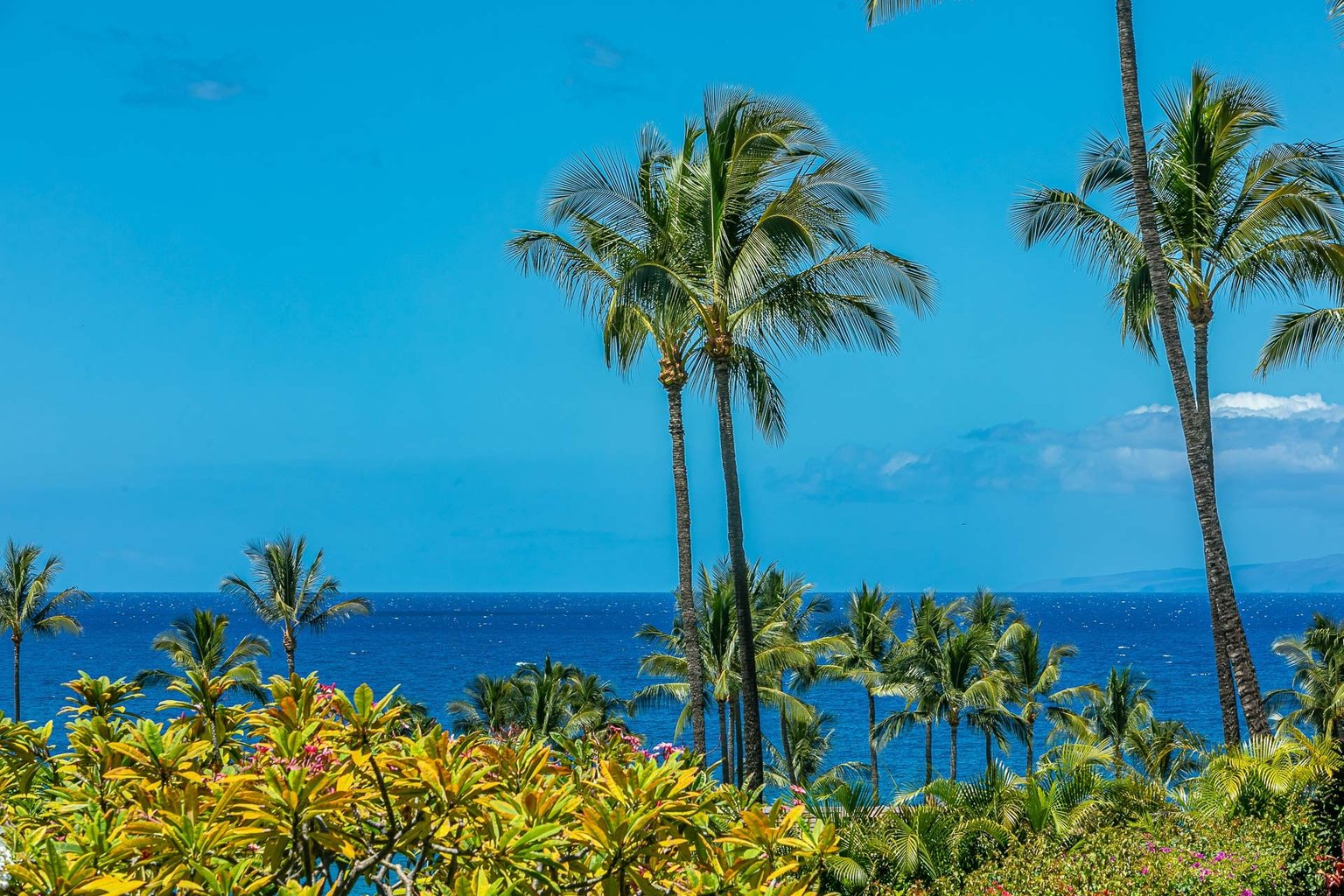Wailea Vacation Rental