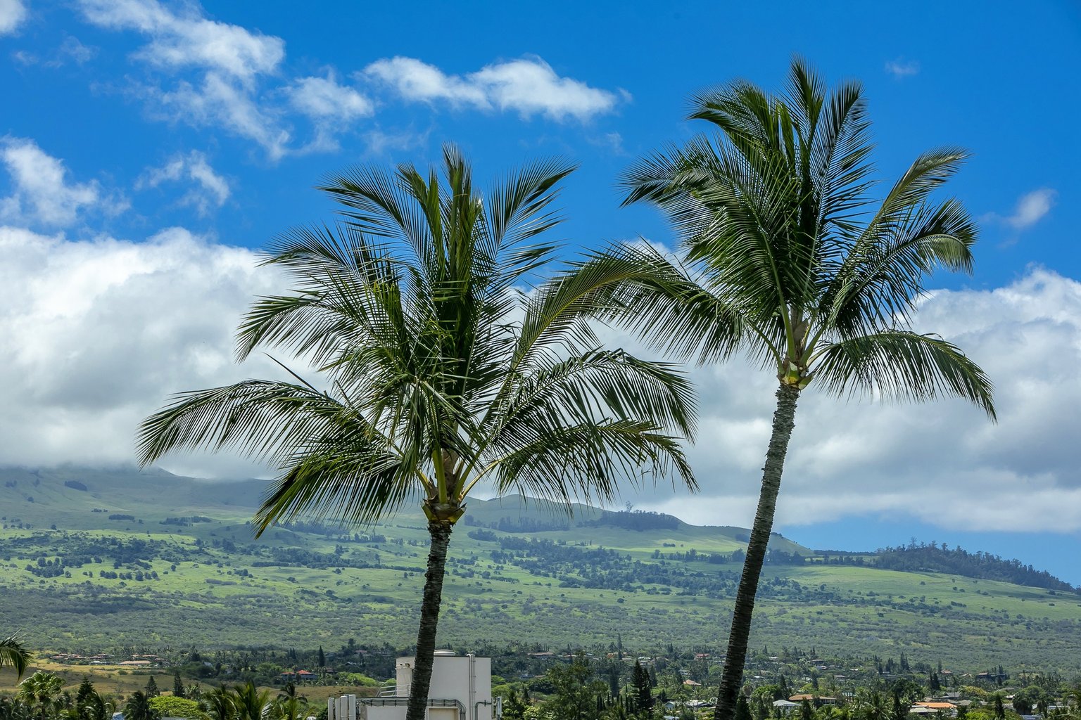 Kihei Vacation Rental