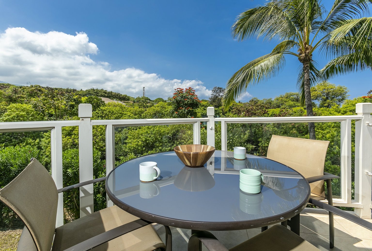 Wailea Vacation Rental