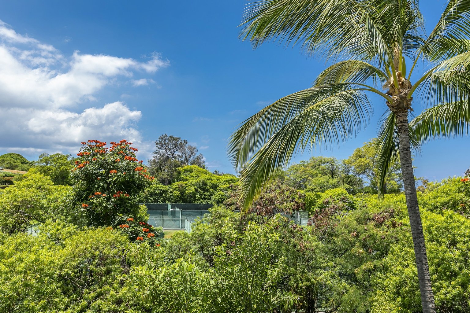 Wailea Vacation Rental