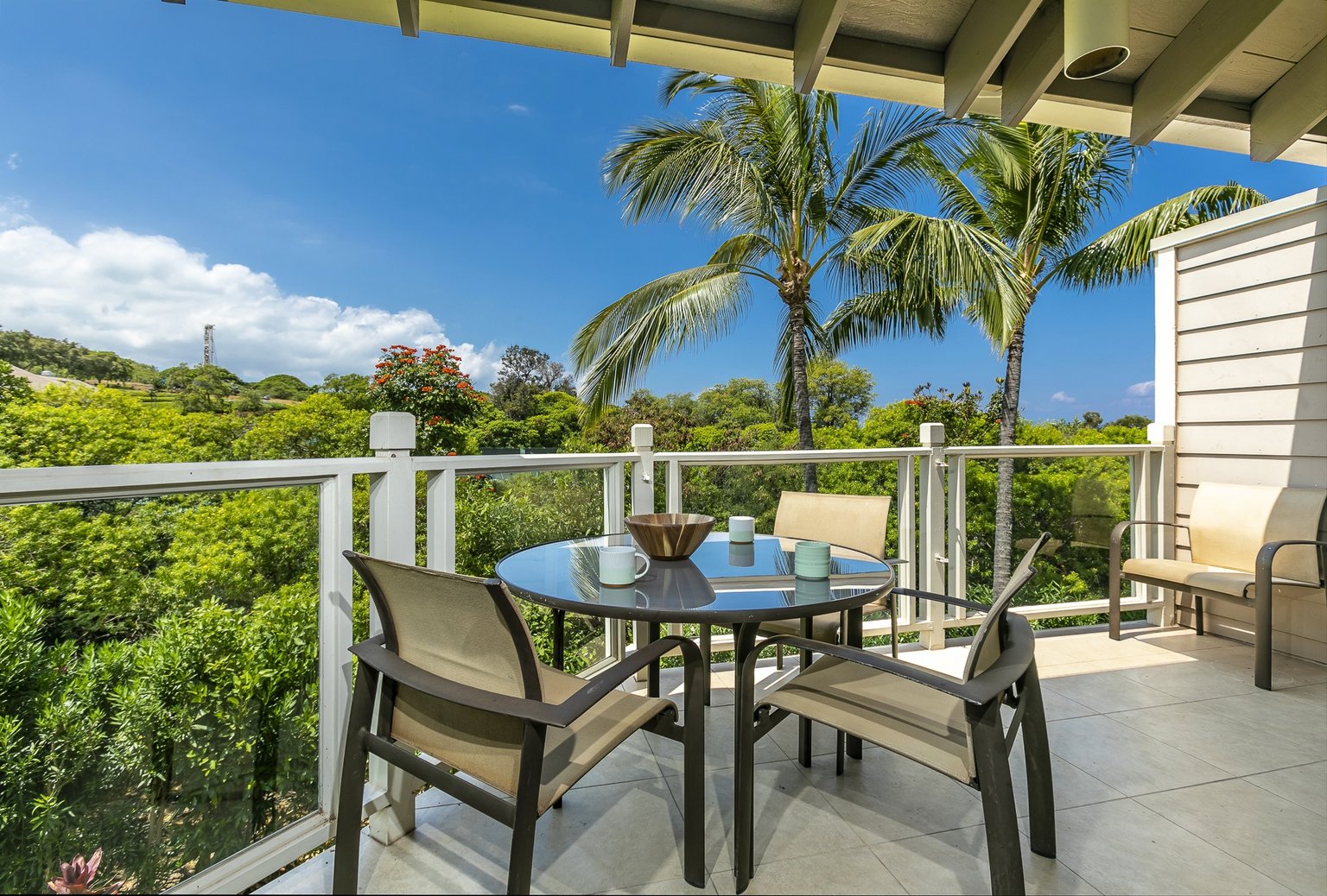 Wailea Vacation Rental