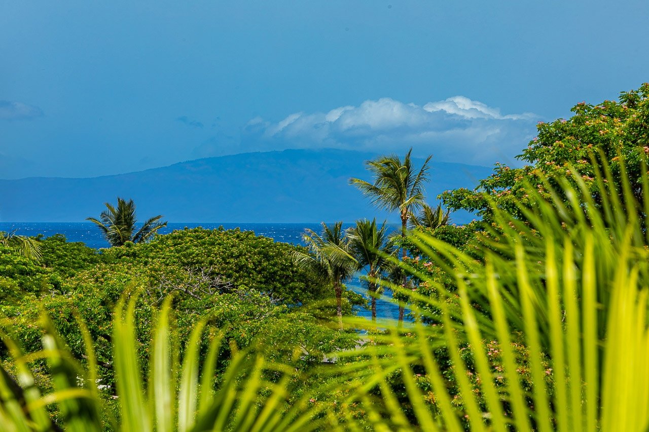 Wailea Vacation Rental