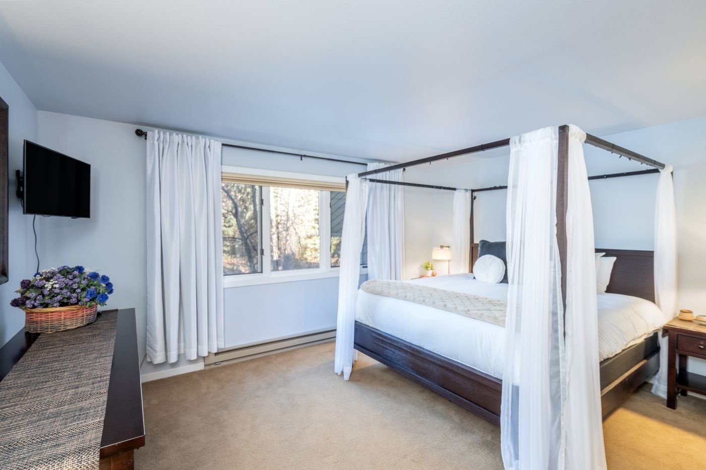 Telluride Vacation Rental