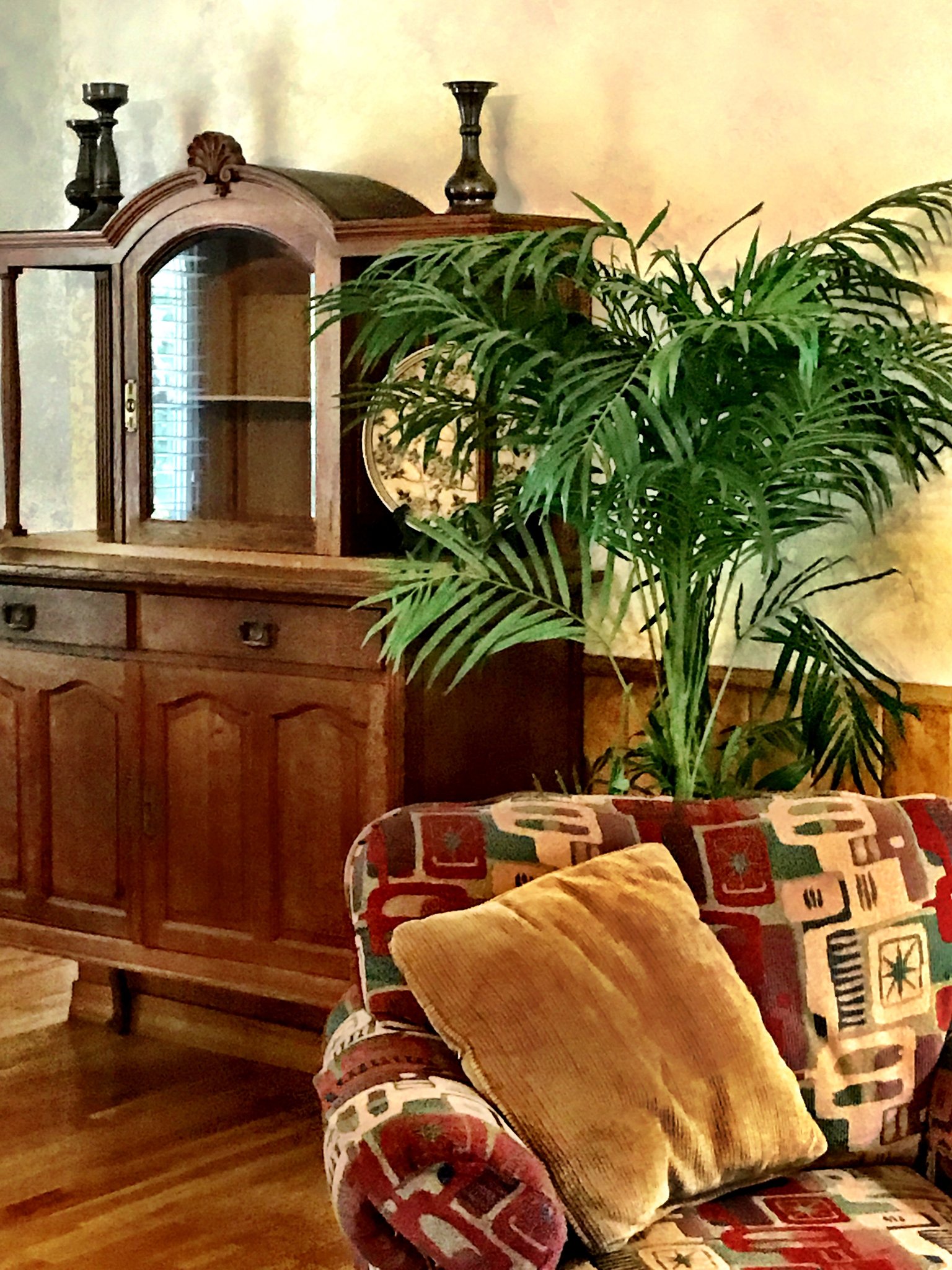 Mount Ida Vacation Rental