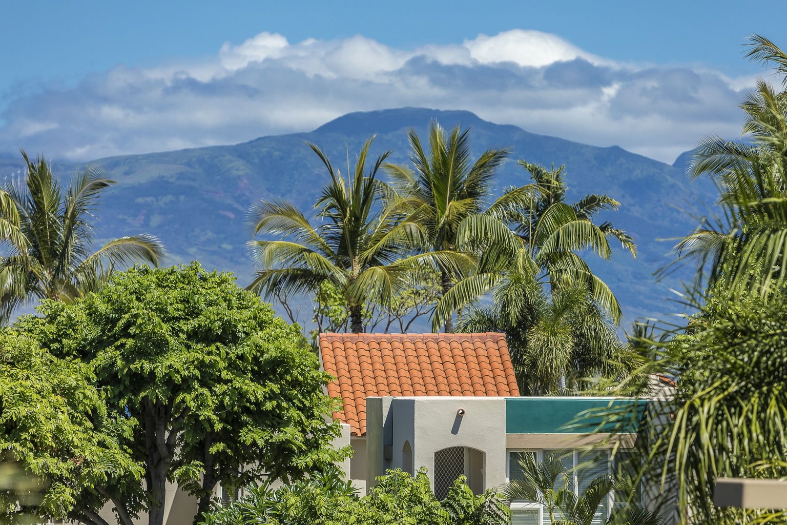 Wailea Vacation Rental