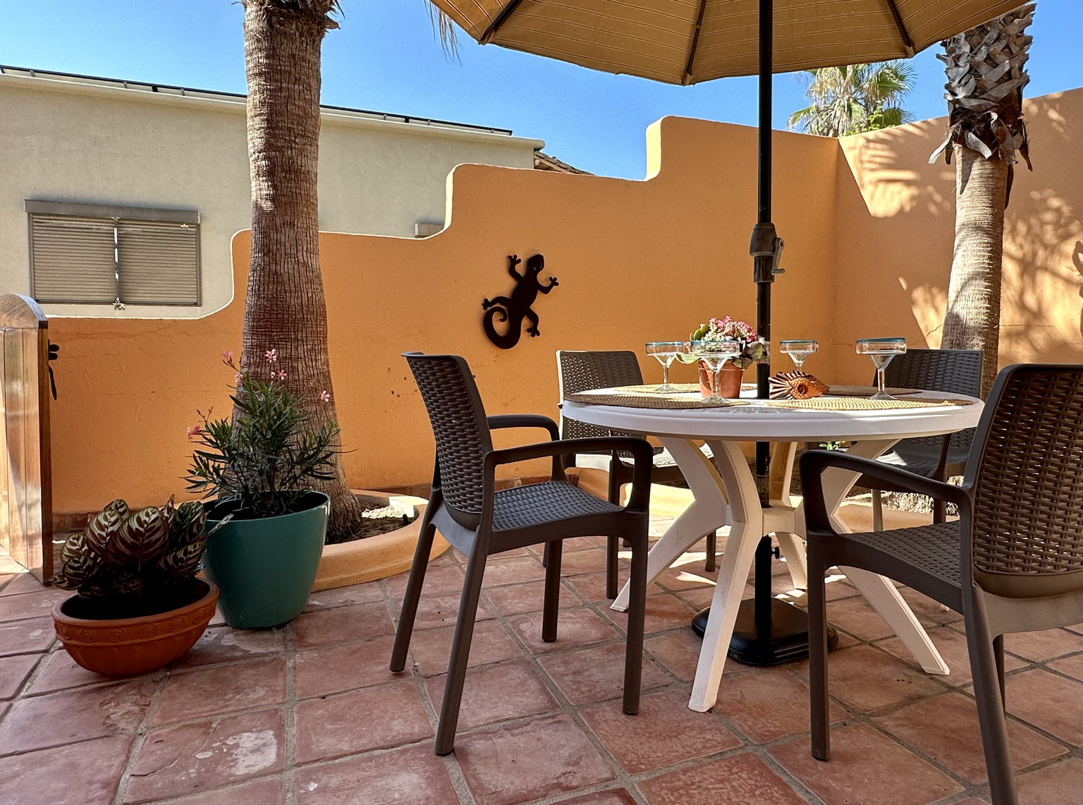Cabo Pulmo Vacation Rental