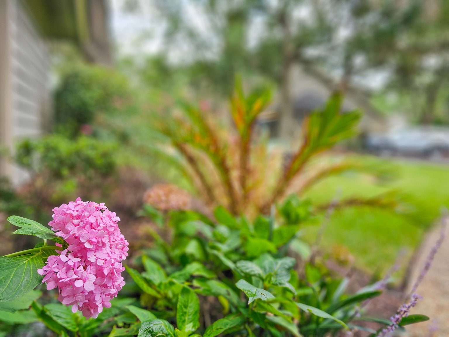 Myrtle Beach Vacation Rental