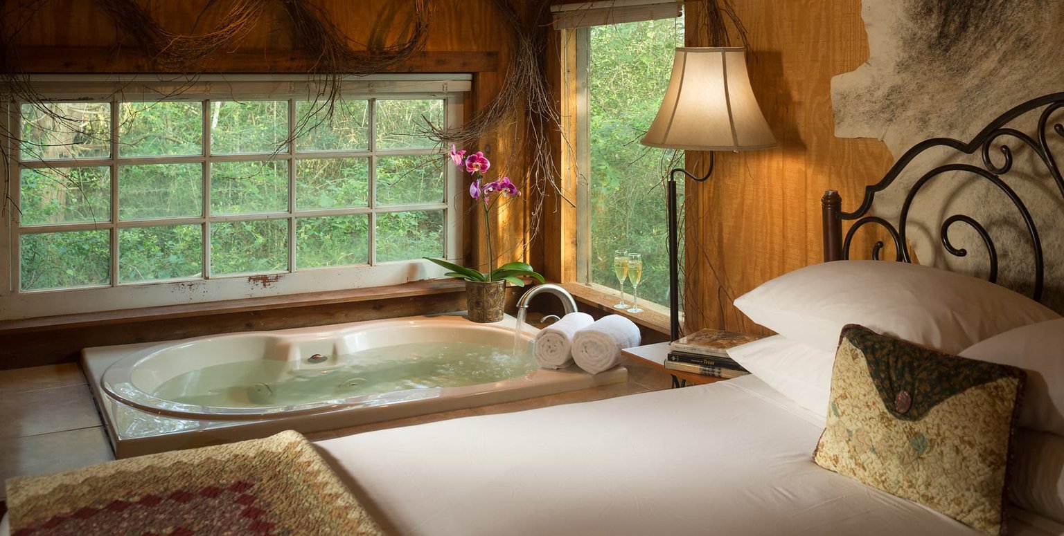 Cat Spring Vacation Rental