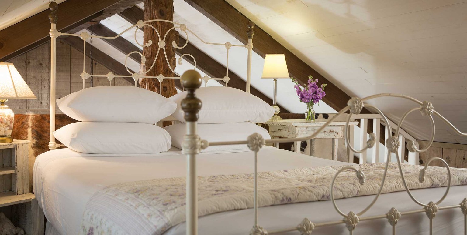 Cat Spring Vacation Rental