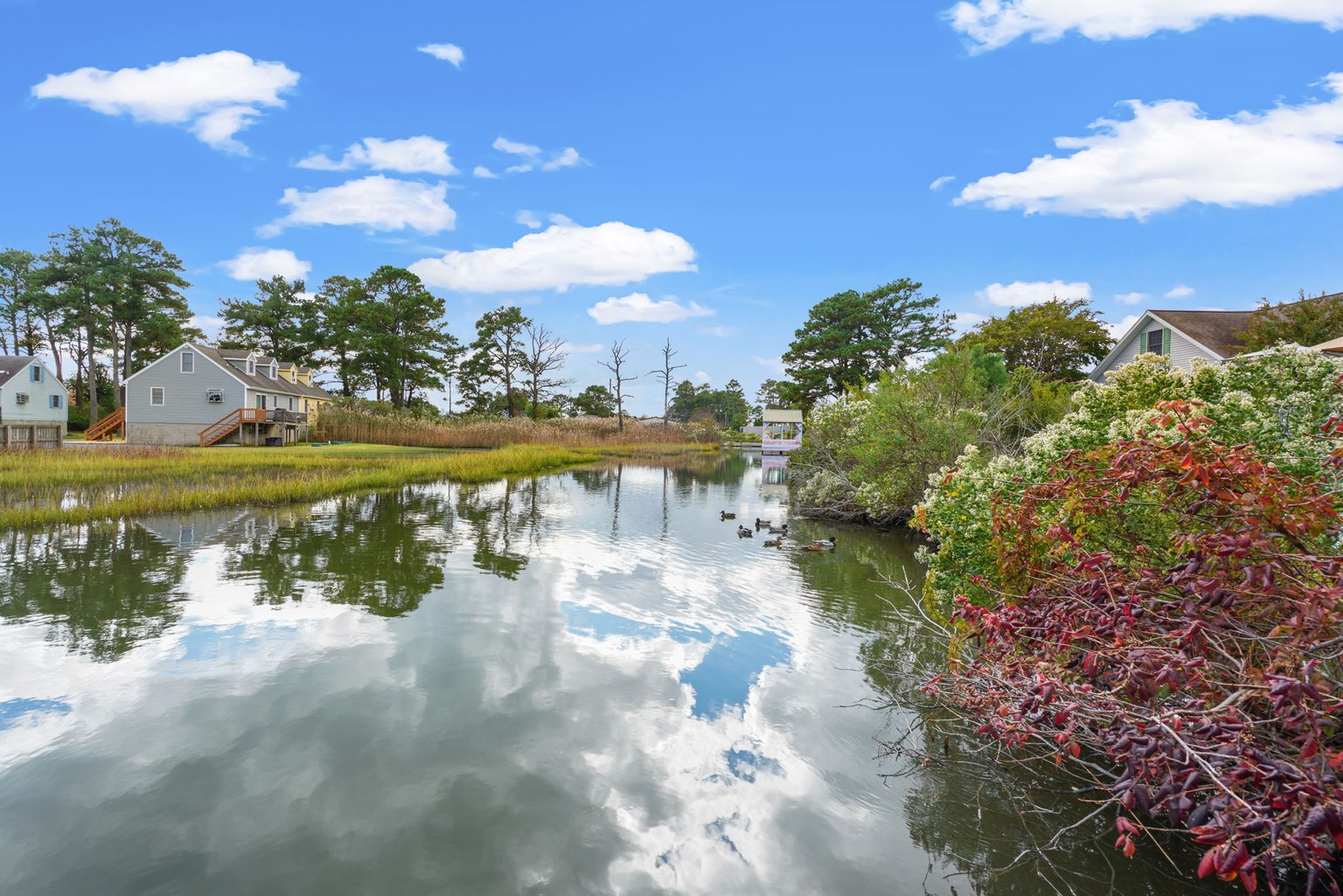 Chincoteague Island Vacation Rental