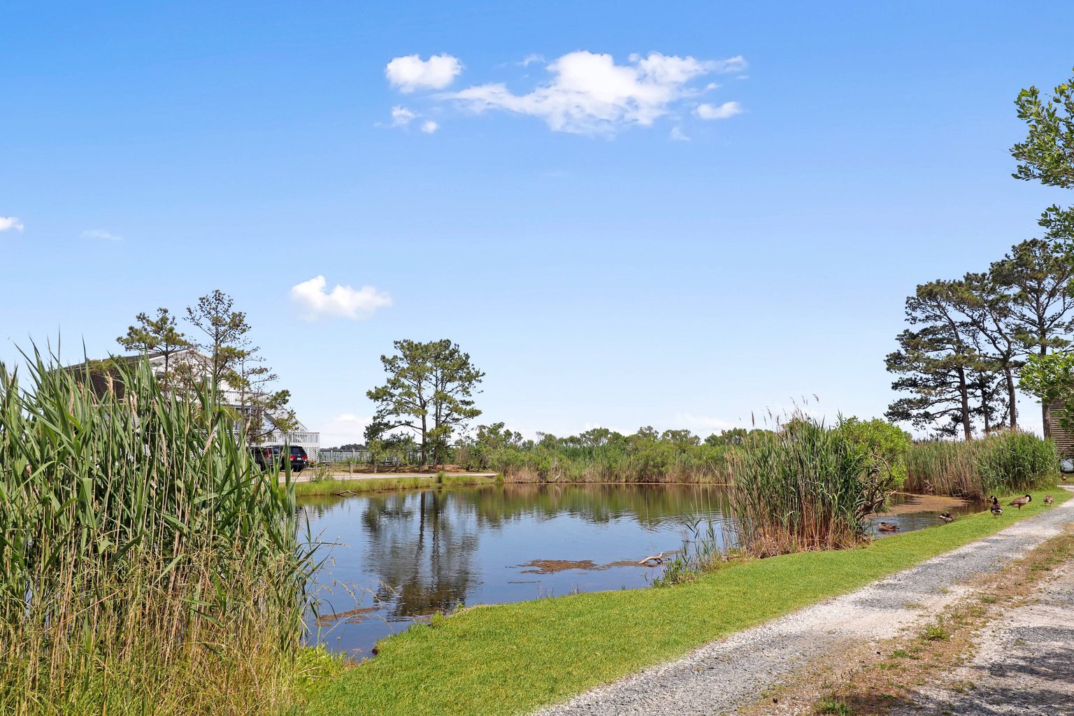 Chincoteague Island Vacation Rental