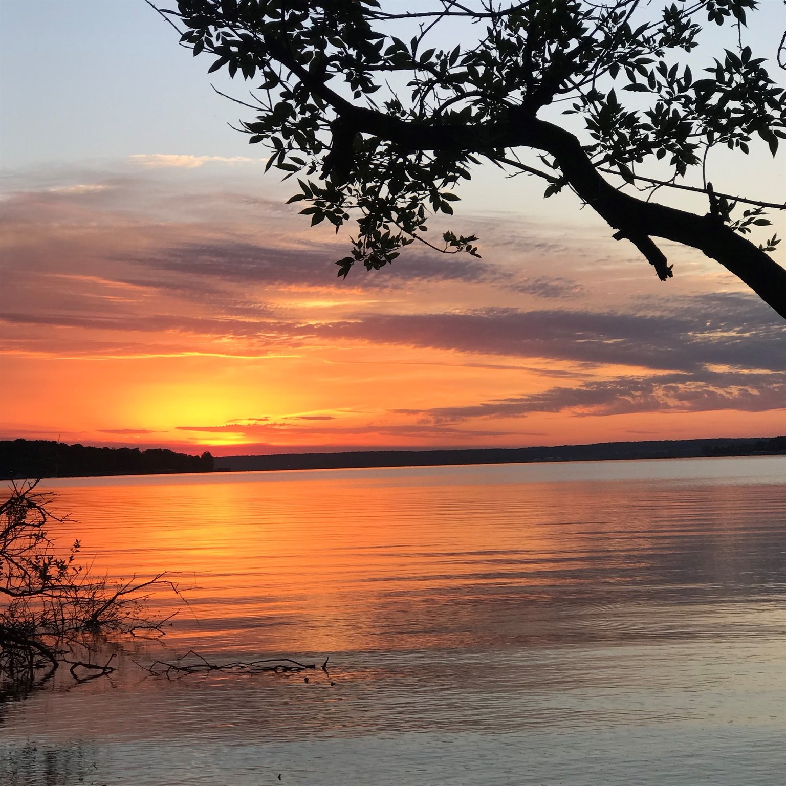 Grove Vacation Rental