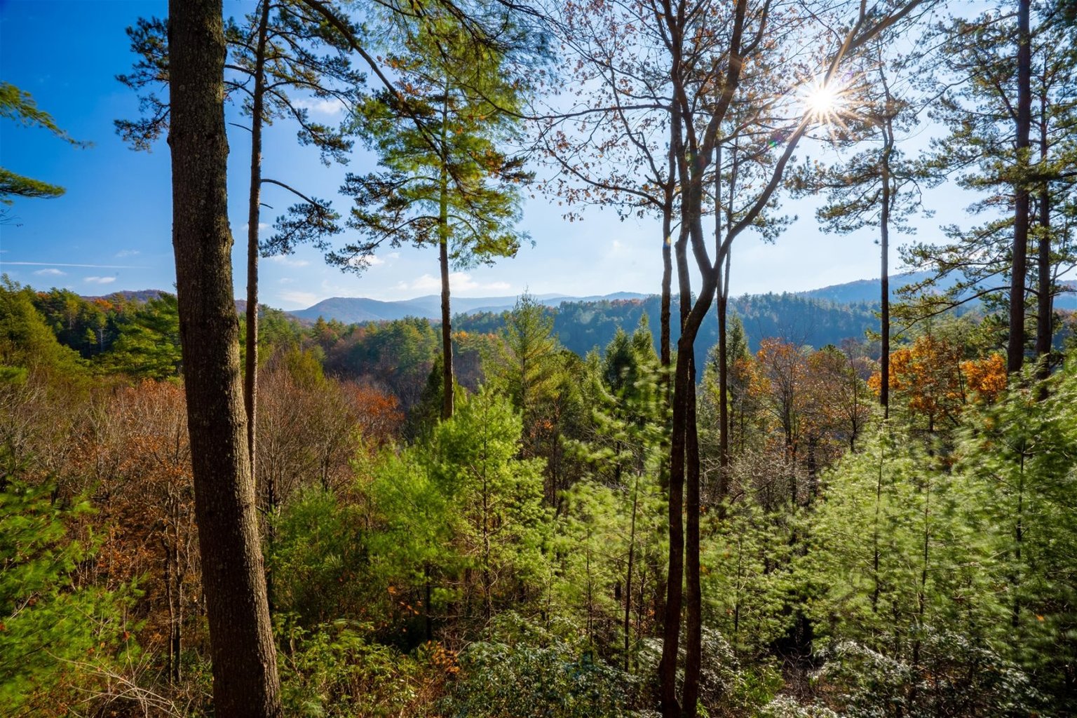 Cherry Log Vacation Rental