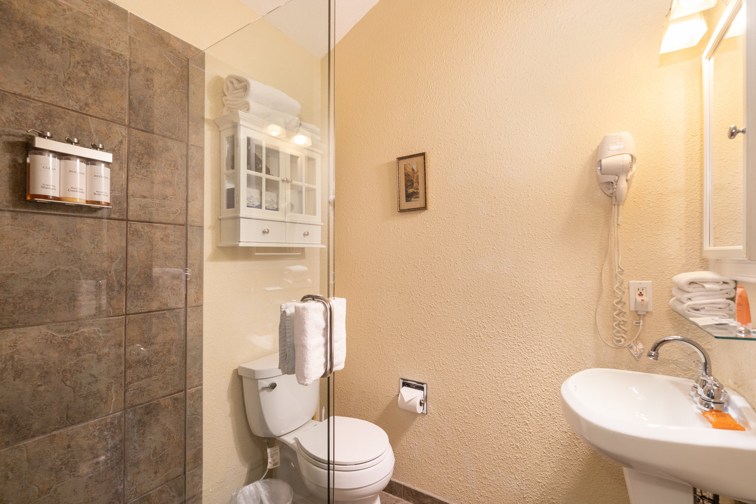 Telluride Vacation Rental