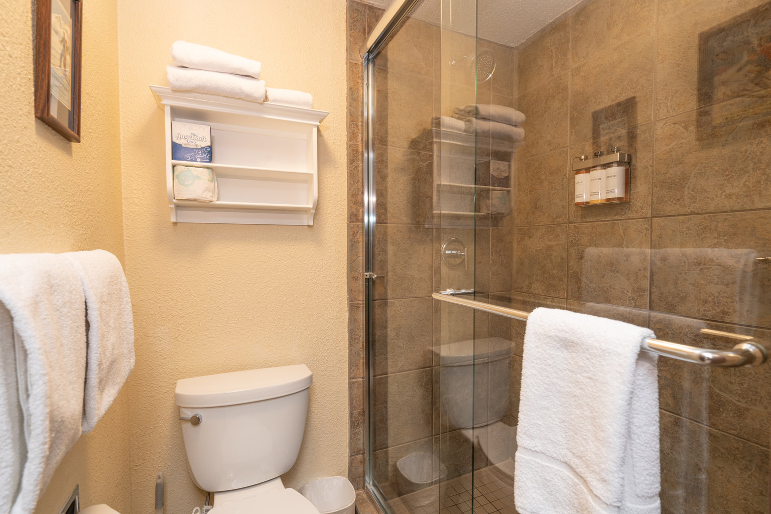 Telluride Vacation Rental