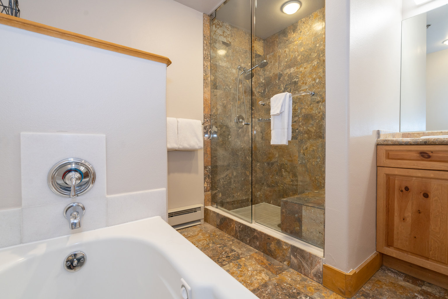 Mountain Village Vacation Rental