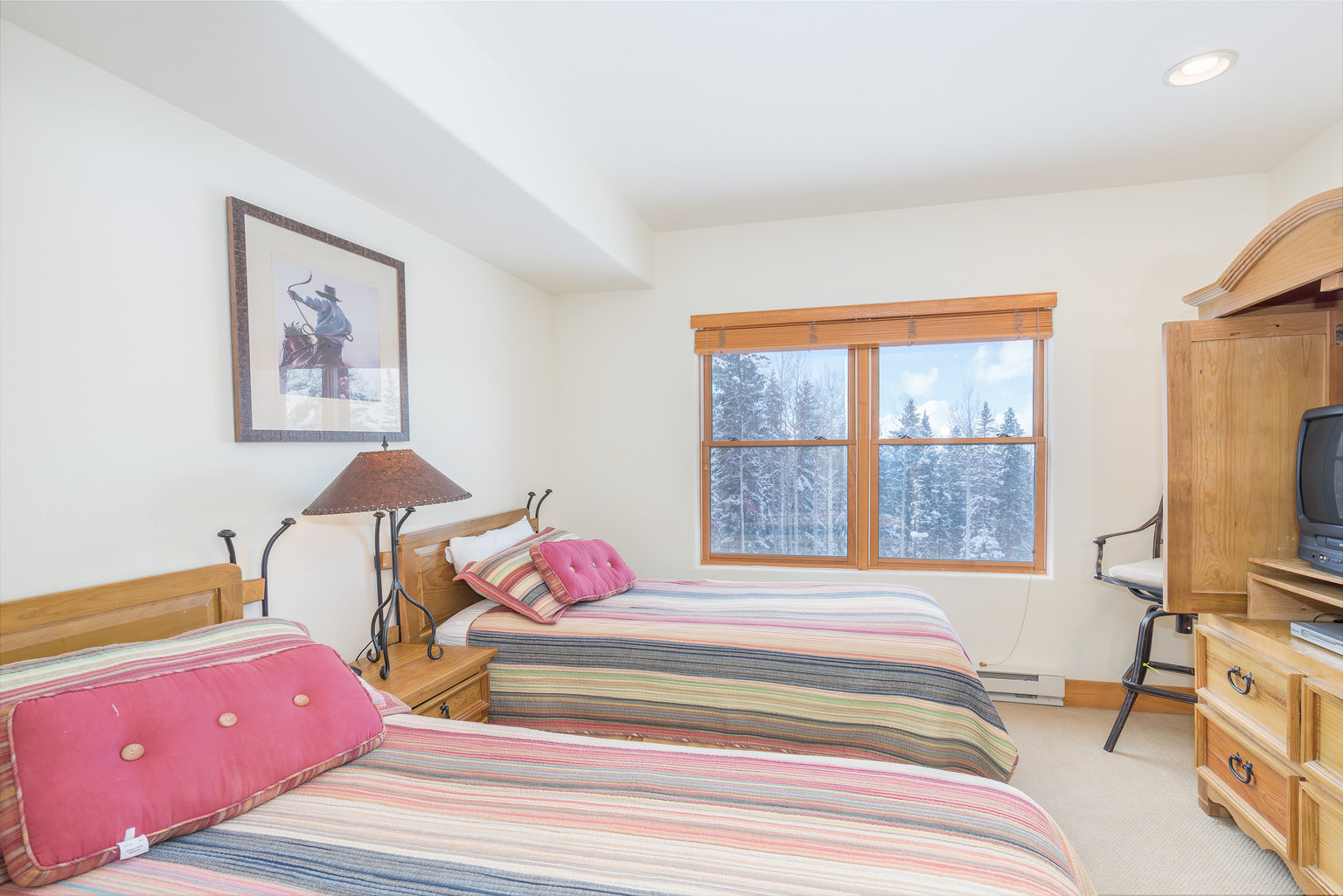 Mountain Village Vacation Rental