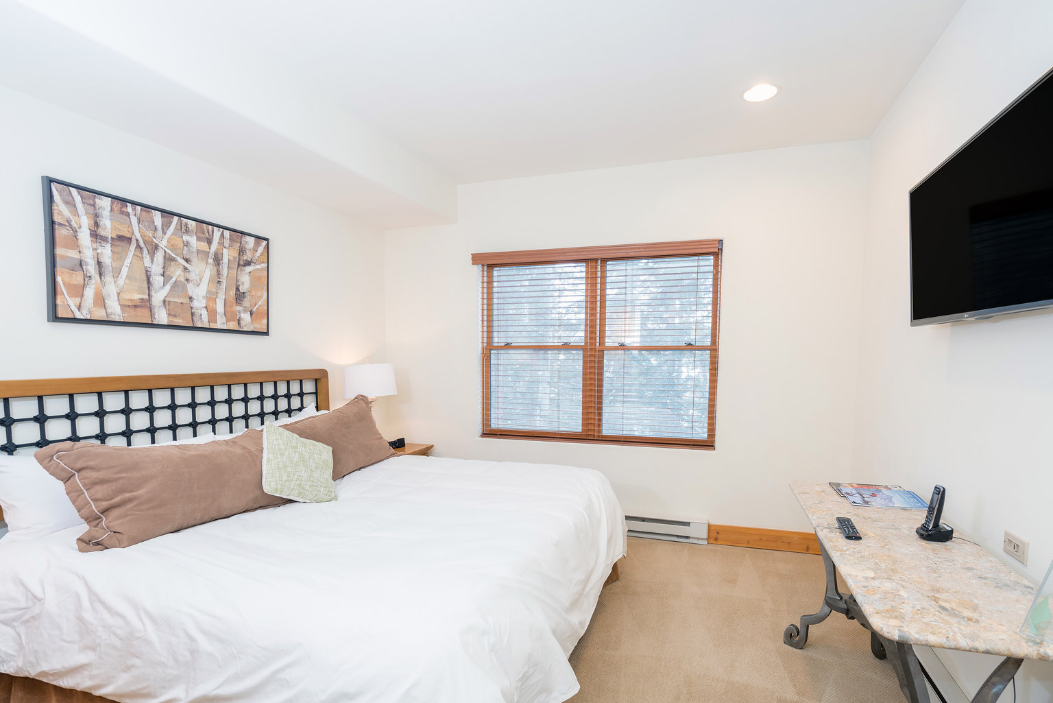 Mountain Village Vacation Rental