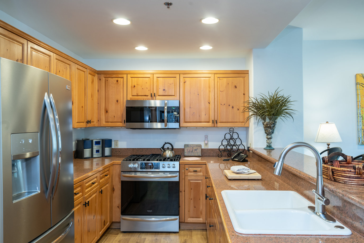 Mountain Village Vacation Rental