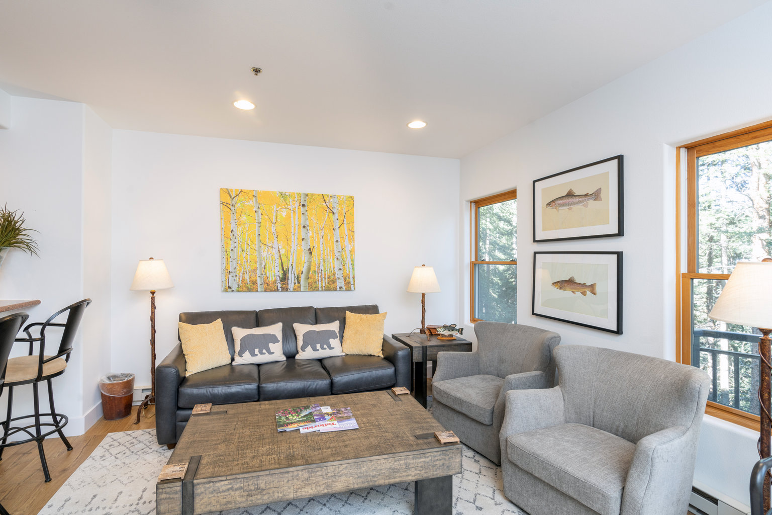 Mountain Village Vacation Rental