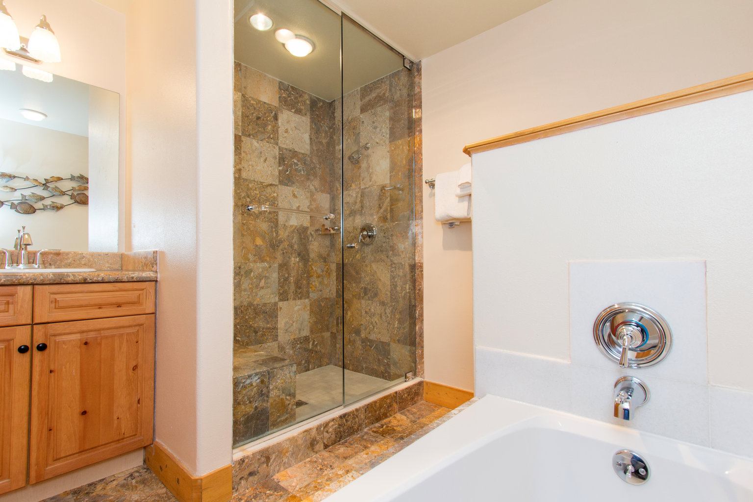 Mountain Village Vacation Rental