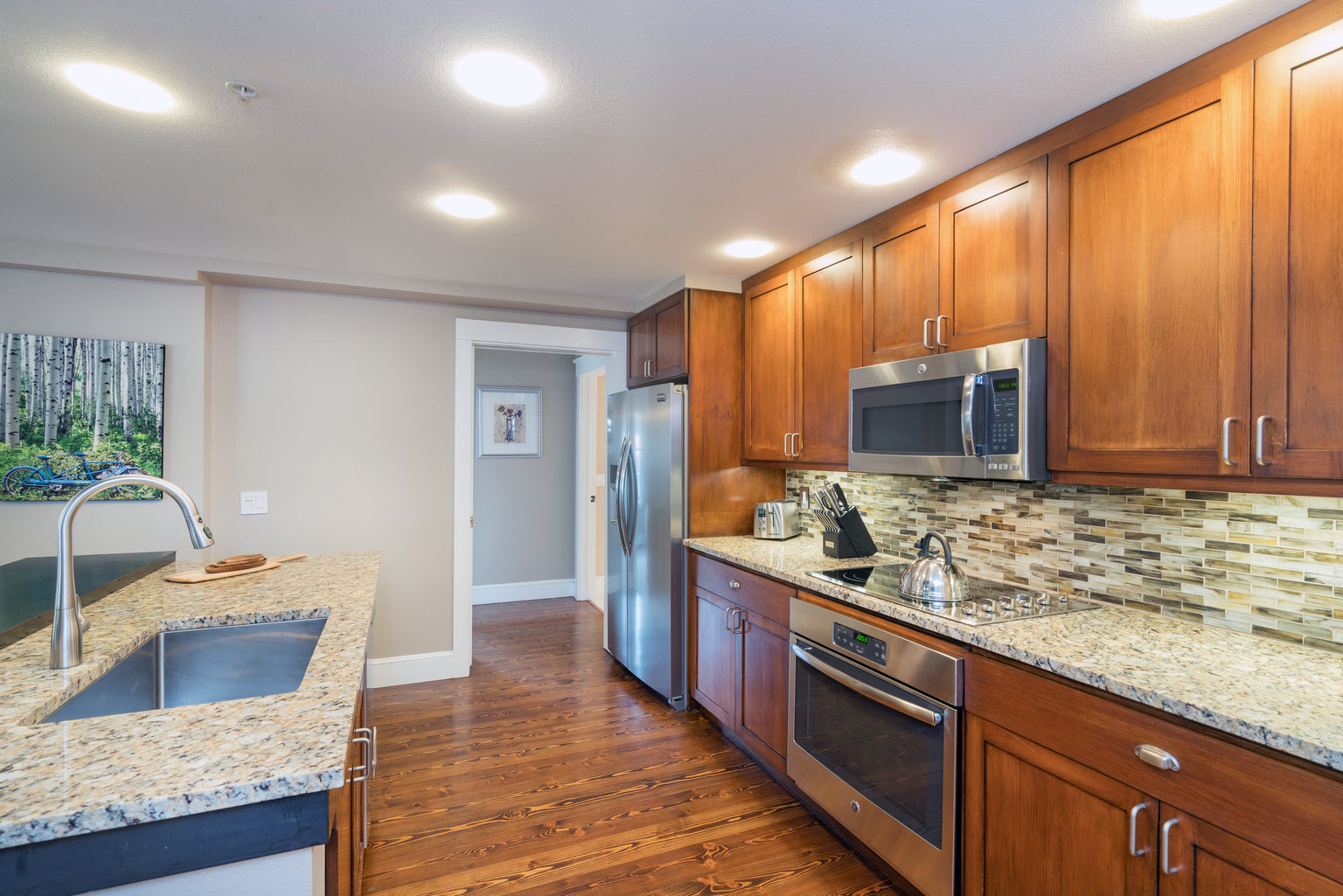 Telluride Vacation Rental