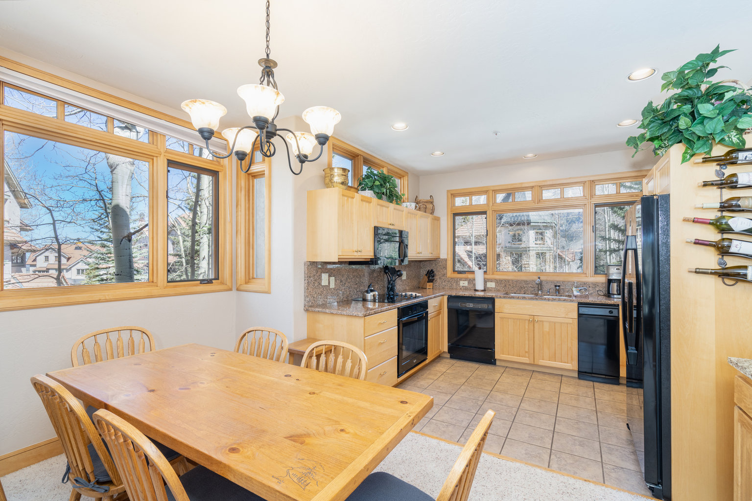 Mountain Village Vacation Rental