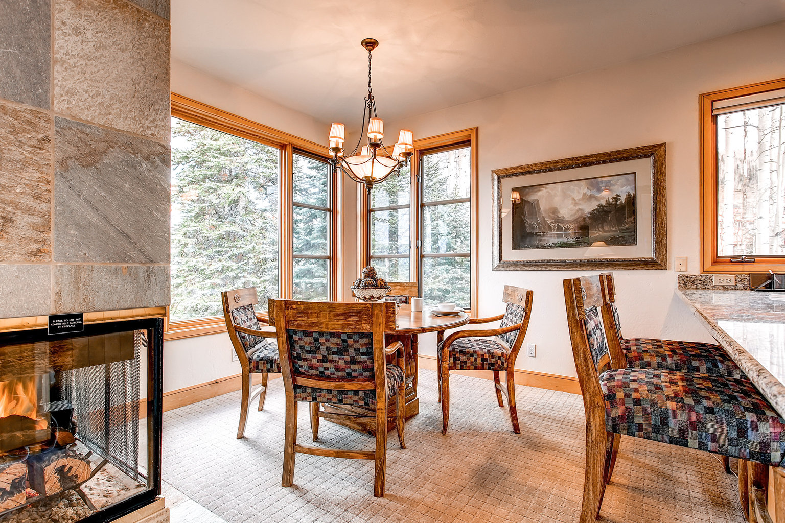 Mountain Village Vacation Rental