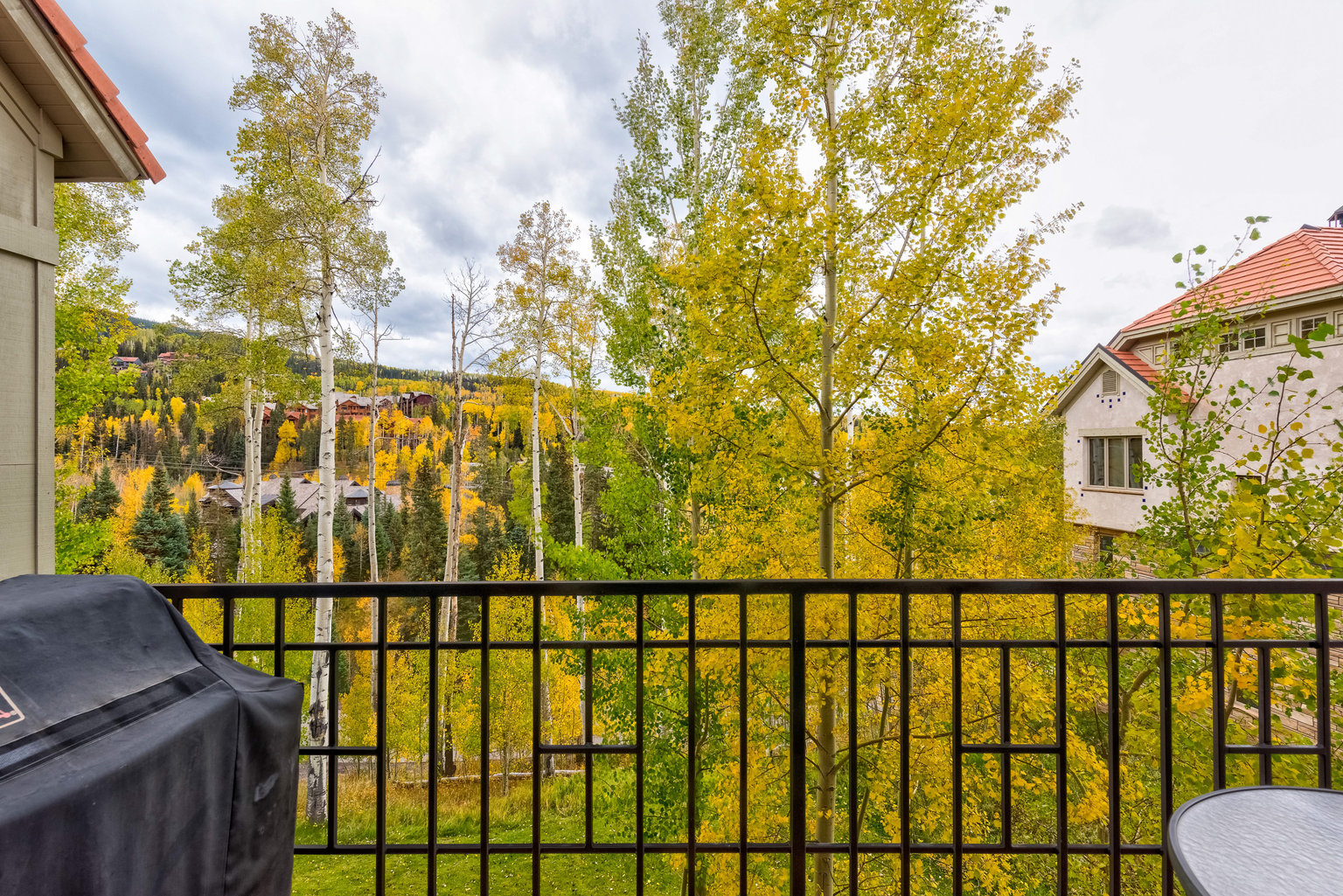 Mountain Village Vacation Rental