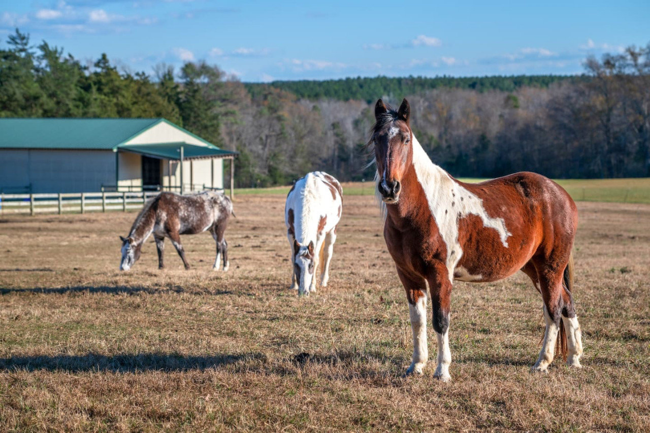 Powhatan Vacation Rental
