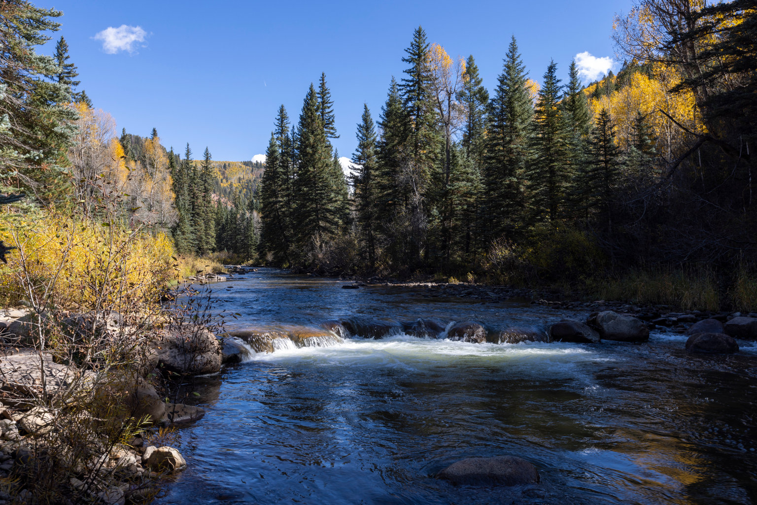 Dolores Vacation Rental