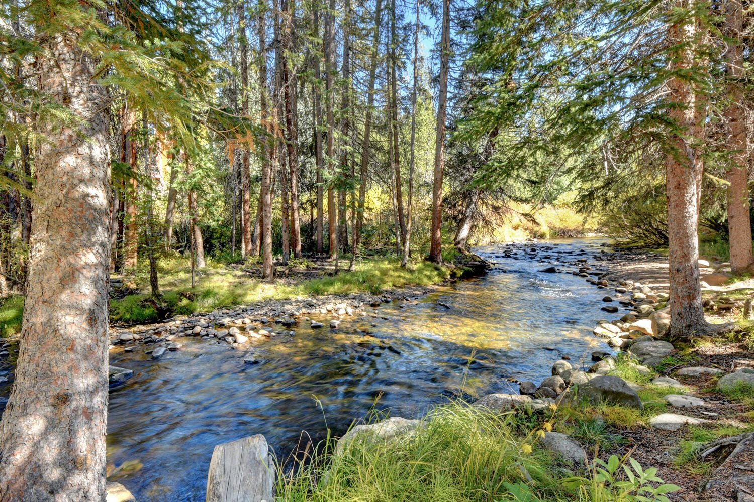 Winter Park Vacation Rental