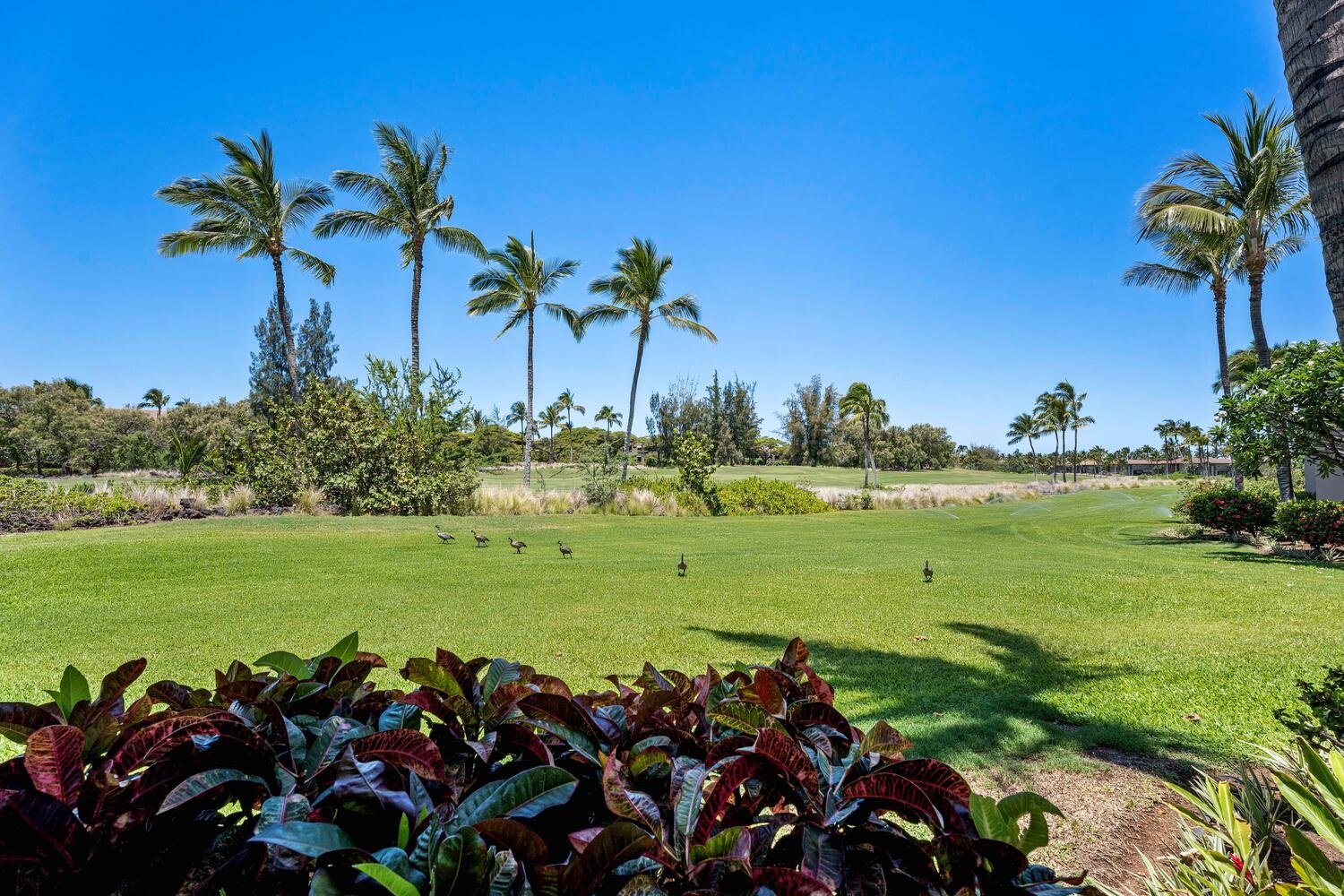 Waikoloa, Vacation Rental