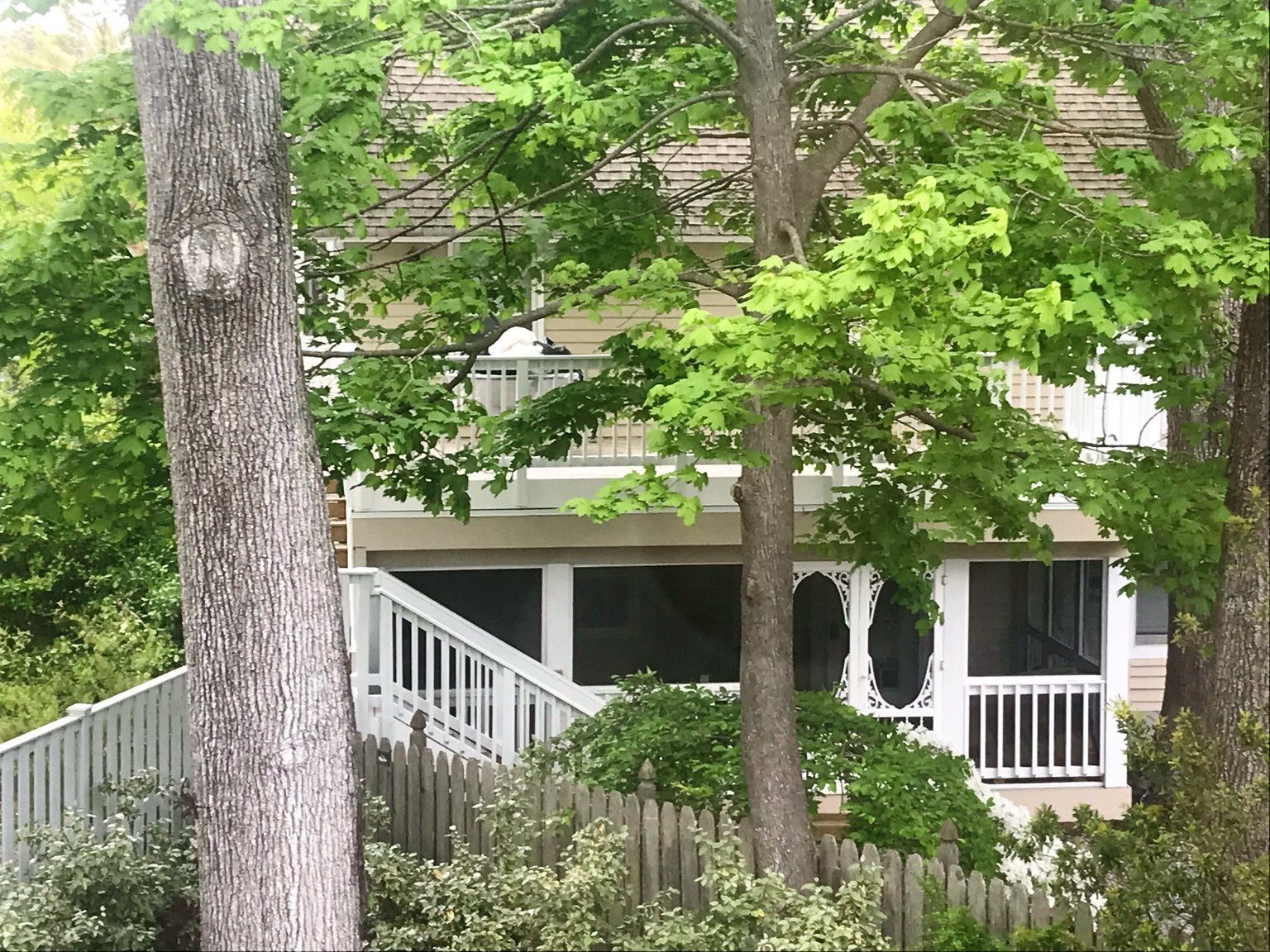 Rehoboth Beach Vacation Rental