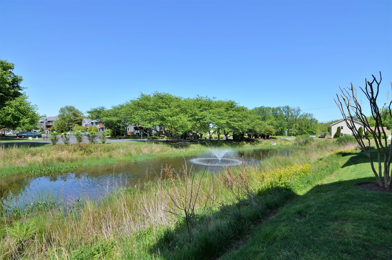 Rehoboth Beach Vacation Rental