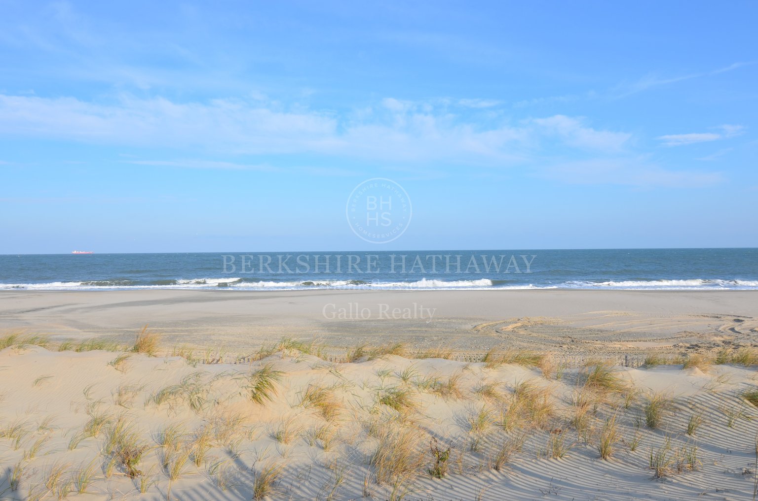 Dewey Beach Vacation Rental