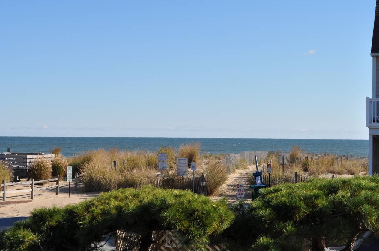 Dewey Beach Vacation Rental