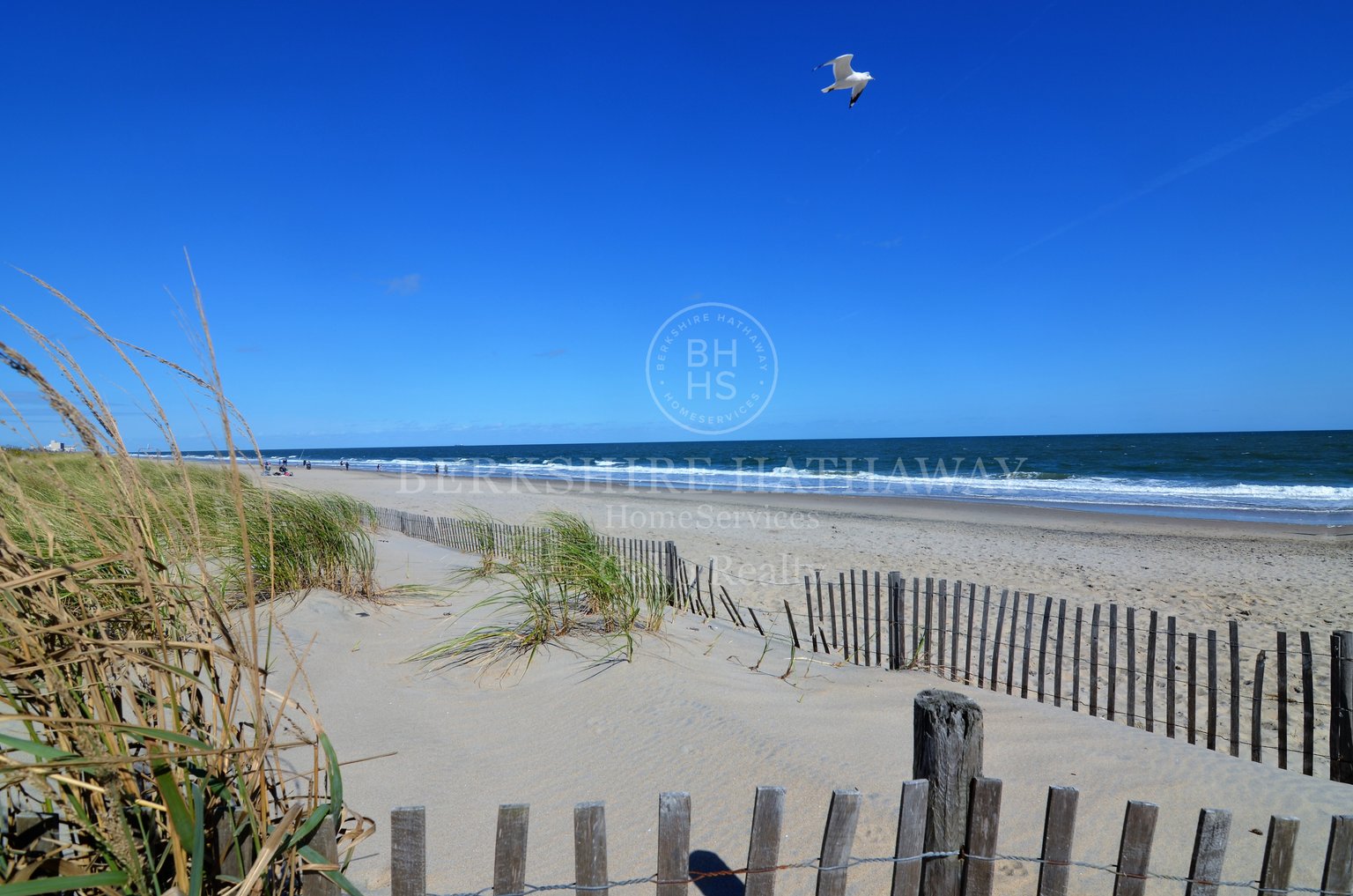 Dewey Beach Vacation Rental