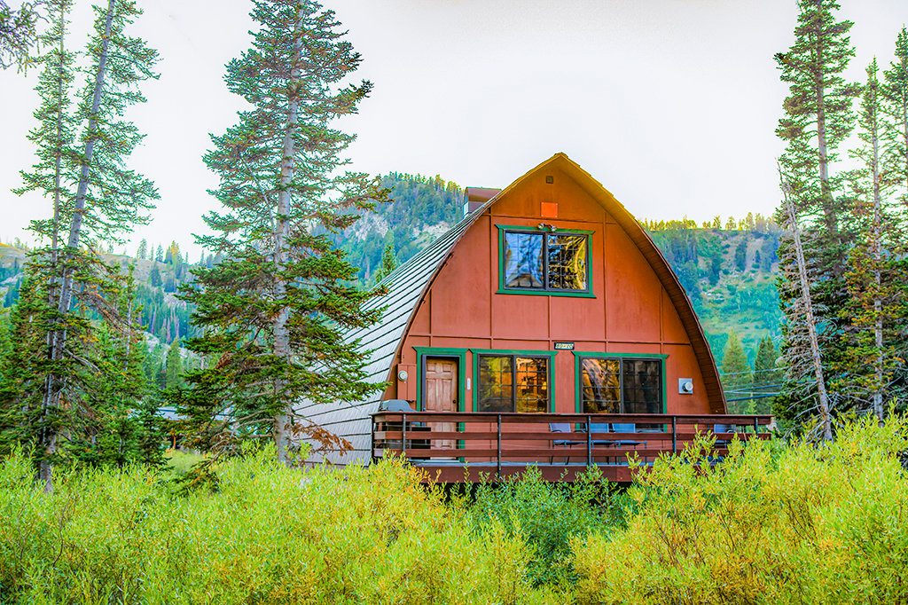 Brighton Vacation Rental