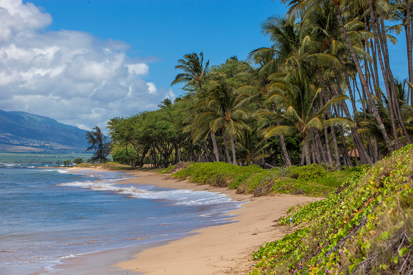 Kihei Vacation Rental