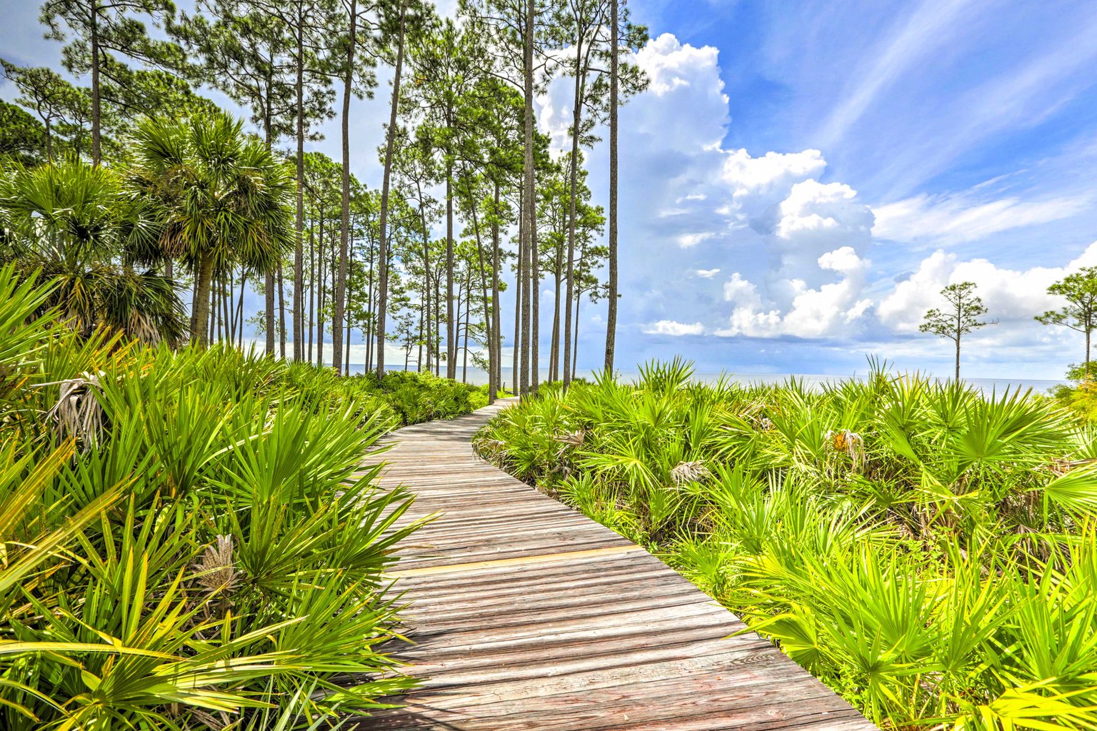 Sopchoppy Vacation Rental