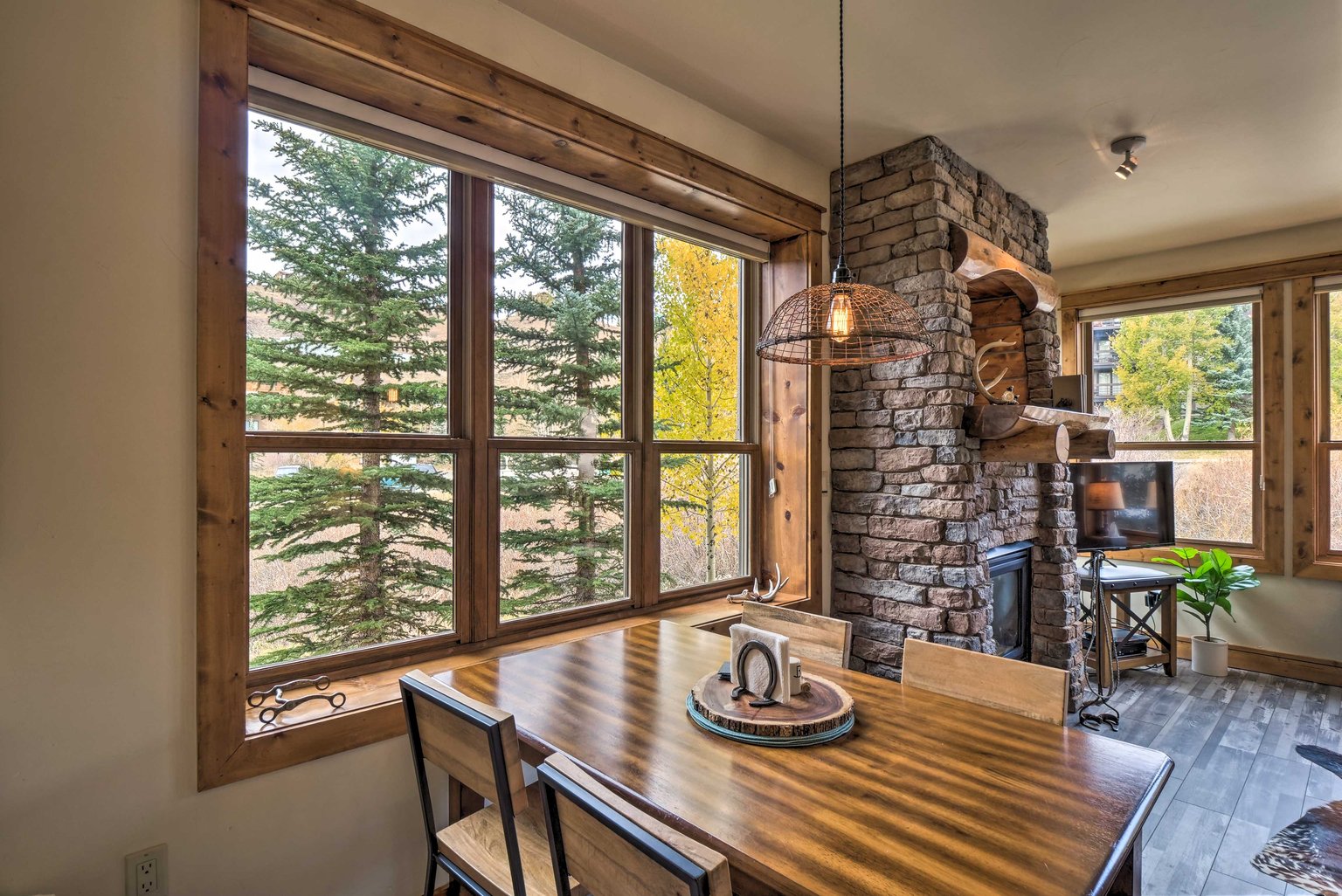 Crested Butte Vacation Rental